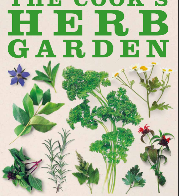 The cook's herb garden